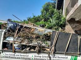 Best Foreclosure Cleanout  in Verdi, NV